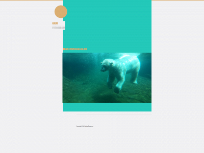 thoft-christensen.dk snapshot