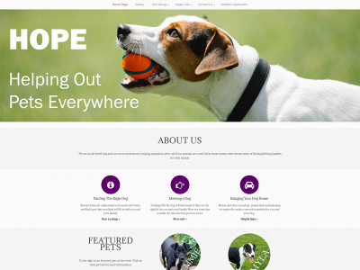 sparrowdogs.com snapshot