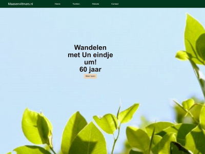 maasenviltmars.online snapshot