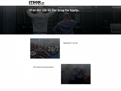 itsor.dk snapshot