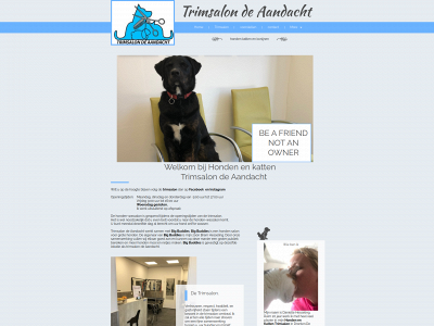 trimsalondeaandacht.nl snapshot