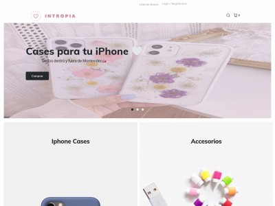intropia.uy snapshot