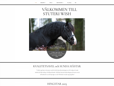 stuteriwish.se snapshot