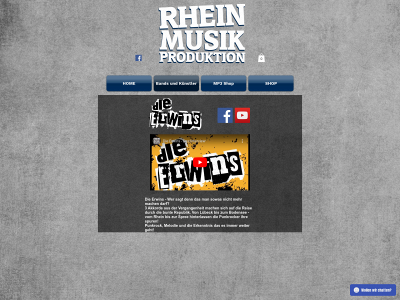 dieerwins.de snapshot