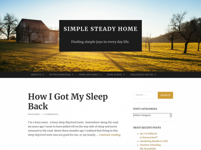 simplesteadyhome.com snapshot