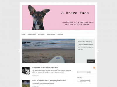abraveface.com snapshot