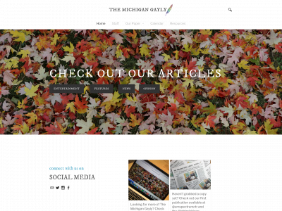 michigangayly.weebly.com snapshot