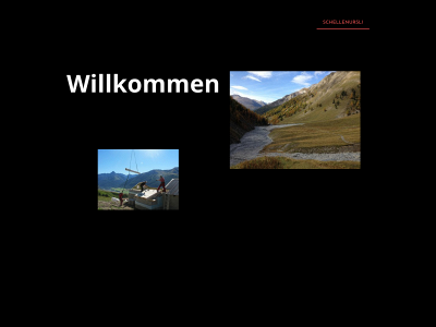 schellenursli-engadin.ch snapshot