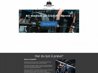 cfnarvik.no snapshot