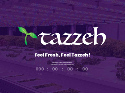 tazzeh.com snapshot