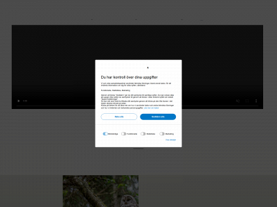 nordic-forest.se snapshot