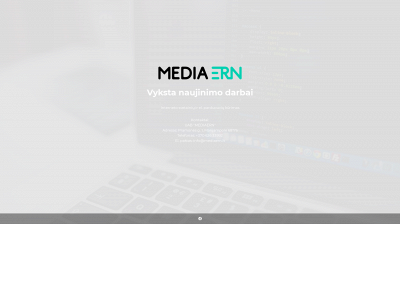 mediaern.lt snapshot