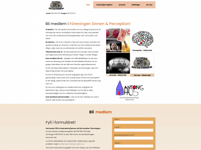 sinnenperception.se snapshot