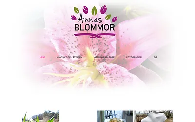 annasblommor.se snapshot