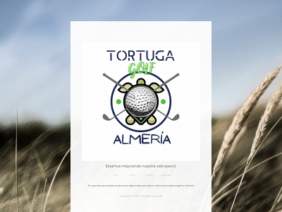 tortugagolfalmeria.es snapshot