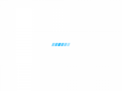 garagevandroogenbroeckt.be snapshot
