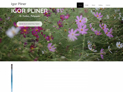 pliner.eu snapshot