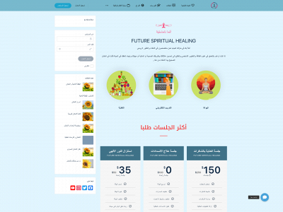 sphfuture.com snapshot