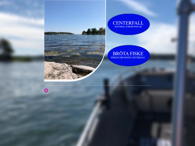 centerfall.se snapshot