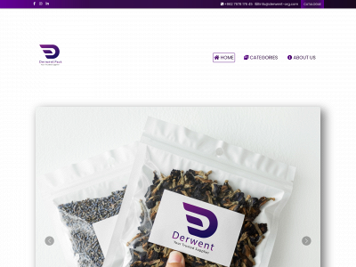 derwent-org.com snapshot