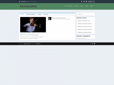 theirishcraic.com snapshot