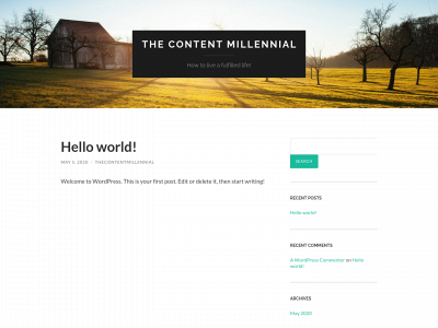 thecontentmillennial.com snapshot