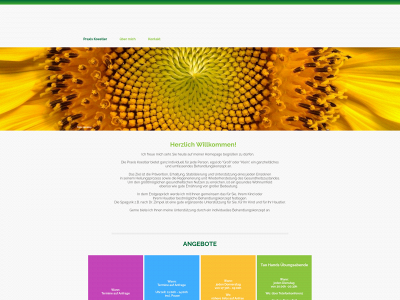 praxis-koestler.de snapshot