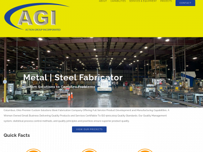 actiongroupinc.com snapshot