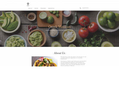 otoch.online snapshot
