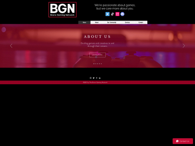 thebronxgamingnetwork.com snapshot