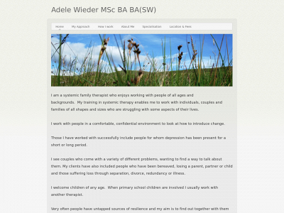adelewieder.co.uk snapshot