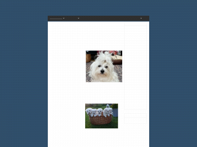 thelandscoton.dk snapshot