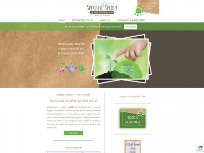 spiritedsproutplay.com snapshot
