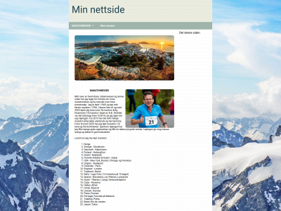 maratonreiser.com snapshot
