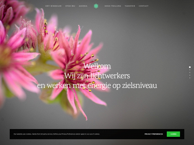 lichtwerkers.net snapshot
