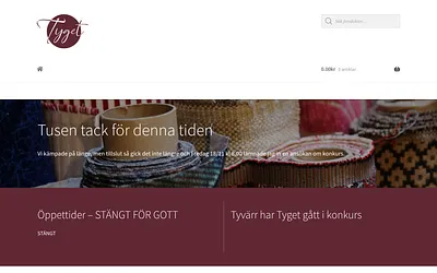tyget.se snapshot