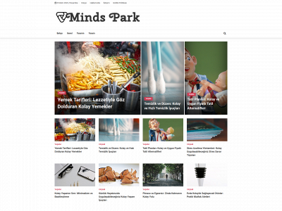 mindsparkhq.com snapshot