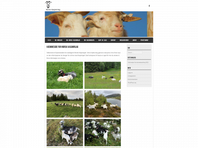 kasjmirlaget.no snapshot