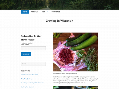 growinginwisconsin.com snapshot