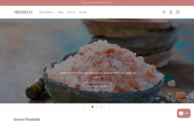 minerelle-salze.de snapshot