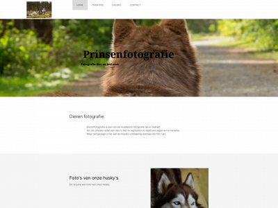prinsenfotografie.nl snapshot