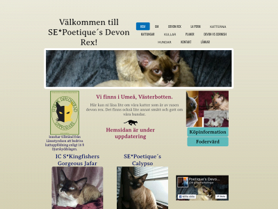 poetiques.se snapshot