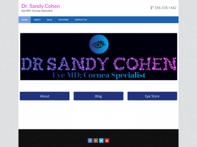 drsandycohen.com snapshot