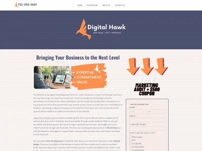 www.digitalhawkmarketing.com snapshot