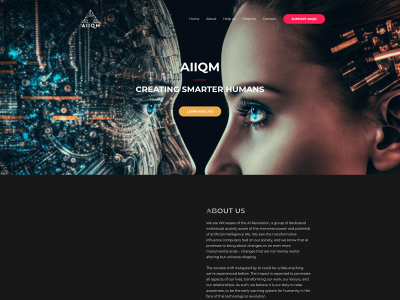 aiiqm.com snapshot