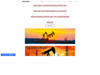 expertcrude.weebly.com snapshot