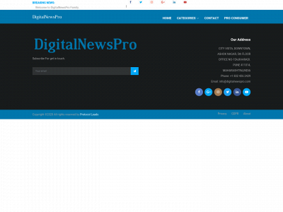 digitalnewspro.com snapshot