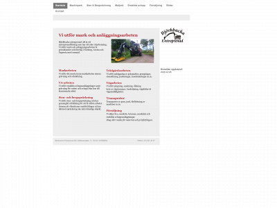 bjorkbackaentab.se snapshot