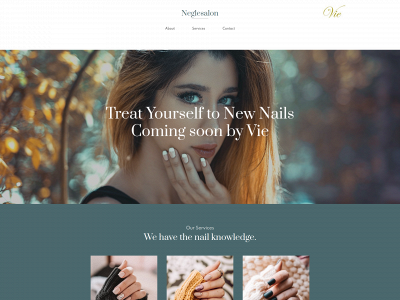 neglesalon.dk snapshot