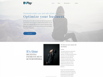bxpay.online snapshot